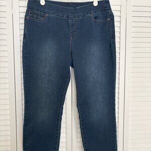 Westbound Petites, SIZE 8 PETITE, denim jeans-MID CALF ( Sale ends 9/1/25 )